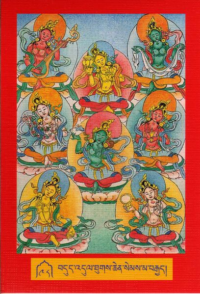 File:DJYD-KABUM-Tsagli-04-098-bdud 'dul thugs chen sems ma brgyad.jpg